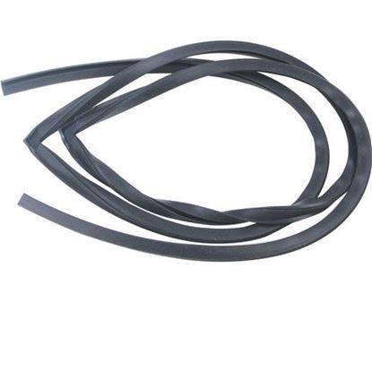 Picture of Door Gasket  for Winston Products Part# PS-2127