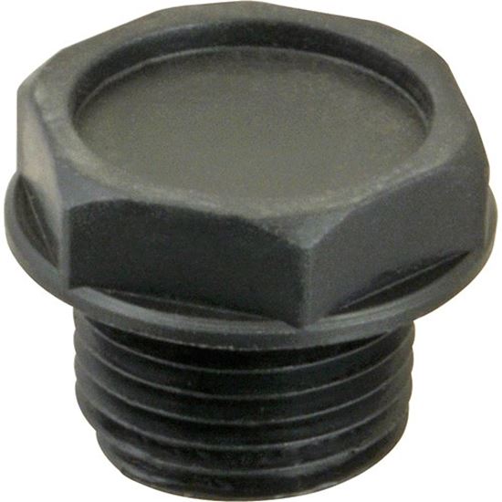 Picture of Plug 1/2"Npt, Plastic  for Champion Part# 108418