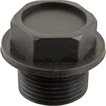 Picture of Plug,Plastic 3/4"Npt  for Champion Part# 113943