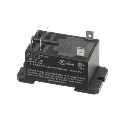 Picture of Relay, 240Vac 30A, Dpst  for Champion Part# CHA514162