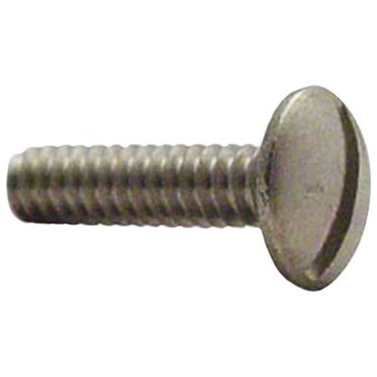 Picture of Overflow Screw  for AllPoints Part# 111923