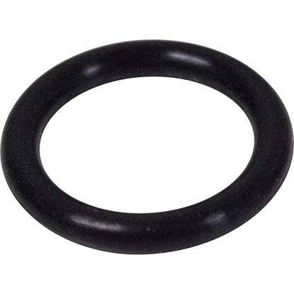 Picture of O-Ring Spout Enc  for AllPoints Part# 118919