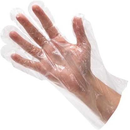 Picture of Glove,Disposable (100)  for AllPoints Part# 1331023