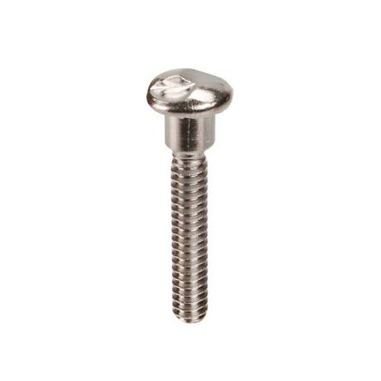 Picture of Screw-One Way  for AllPoints Part# 136602