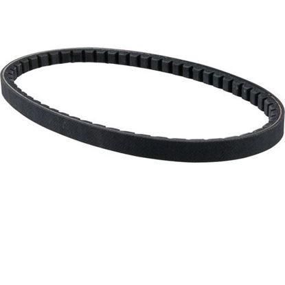 Picture of Belt,Ax21  for AllPoints Part# 1591159
