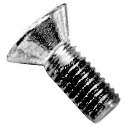 Picture of Screw  for AllPoints Part# 261499