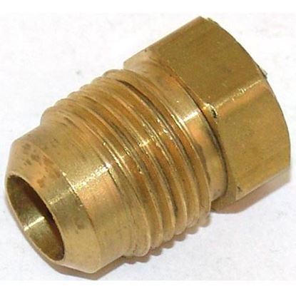 Picture of Plug, Flare - Brass 1/2  for AllPoints Part# 263766