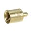 Picture of Brass Cap  for AllPoints Part# 264107
