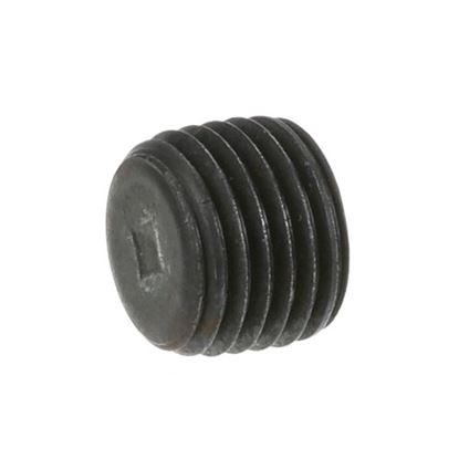 Picture of Pipe Plug  for AllPoints Part# 266135