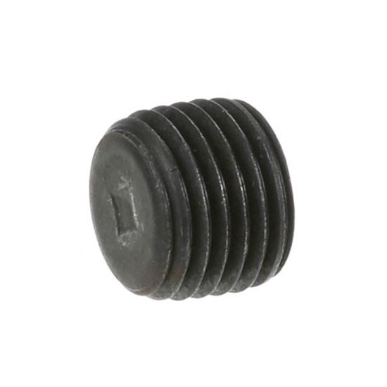 Picture of Pipe Plug  for AllPoints Part# 266135