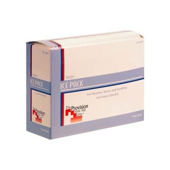 Picture of Ice Pack (6" X 9")  for AllPoints Part# 2801550