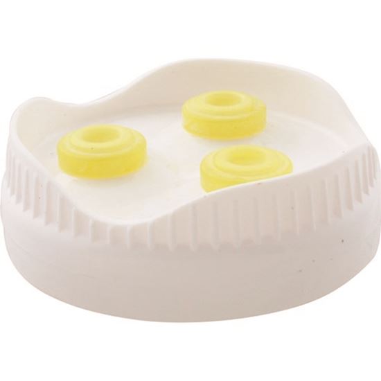 Picture of Cap,Dispense , Fifo,Port Pal,3Nz for AllPoints Part# 2801903
