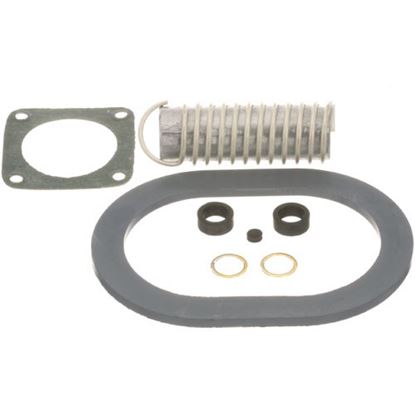 Picture of Descaling Kit  for AllPoints Part# 321064