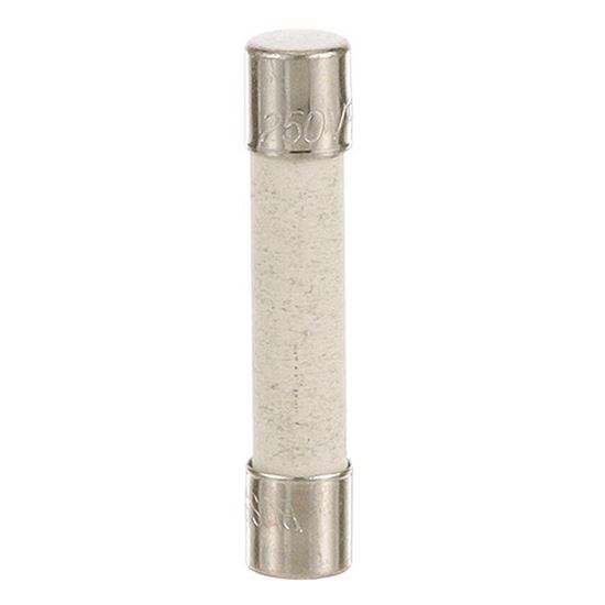 Picture of Fuse  for AllPoints Part# 381097