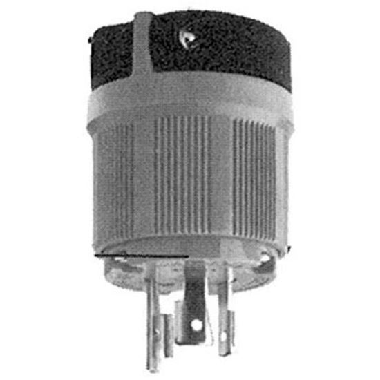 Picture of Locking Plug  for AllPoints Part# 381285