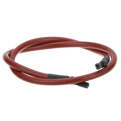 Picture of 20" Wire  for AllPoints Part# 381555