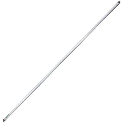Picture of Bulb - Flourescent  for AllPoints Part# 381571