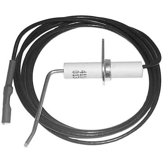 Picture of Electrode/Wire Lead Assembly for AllPoints Part# 441445