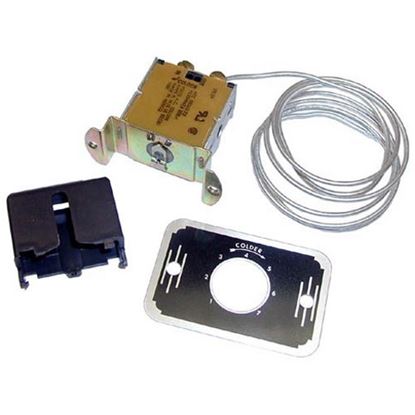 Picture of Freezer Control 9530, 48 for AllPoints Part# 461320