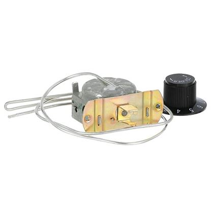 Picture of Control, Temperature  for AllPoints Part# 461529