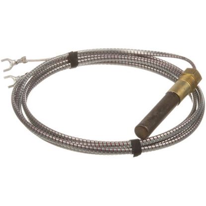 Picture of Armored Thermopile 70" for AllPoints Part# 511347