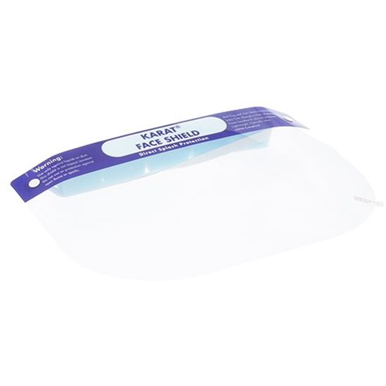 Picture of Face Shield 10/Pk for AllPoints Part# 51447