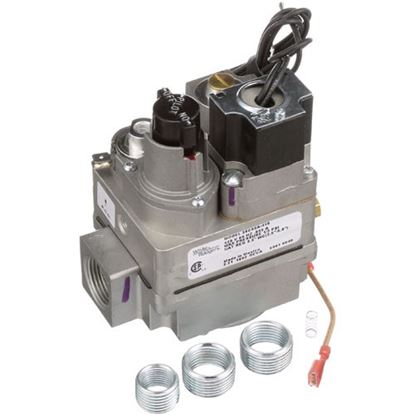 Picture of Control Valve  for AllPoints Part# 541099