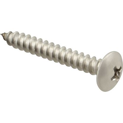 Picture of Screw, Sm/Th/Ss (100)  for AllPoints Part# 6120820