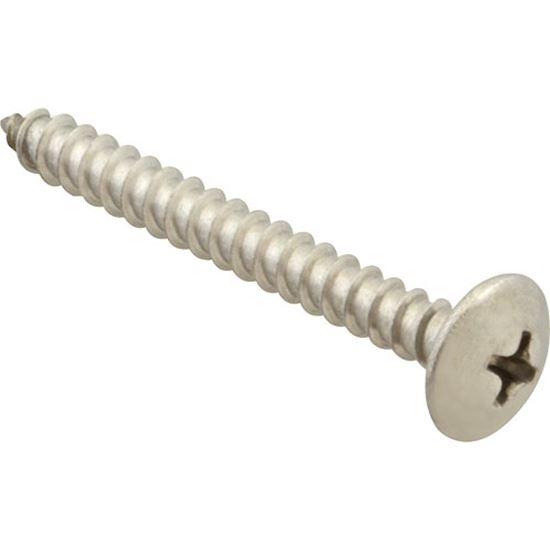 Picture of Screw, Sm/Th/Ss (100)  for AllPoints Part# 6120824