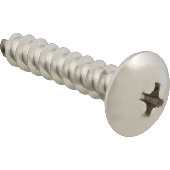 Picture of Screw, Sm/Th/Ss (100)  for AllPoints Part# 6121020