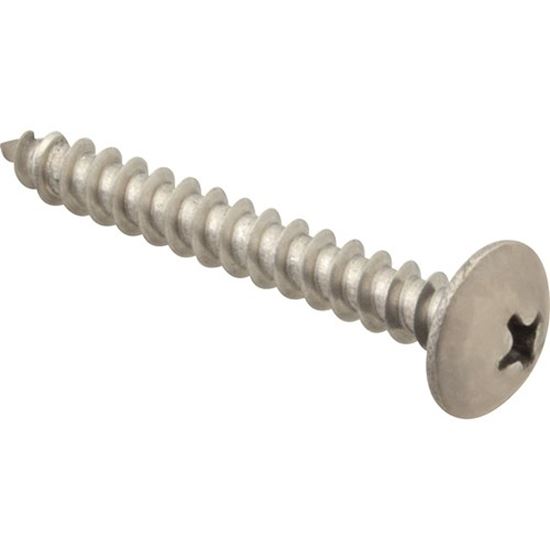 Picture of Screw, Sm/Th/Ss (100)  for AllPoints Part# 6121024
