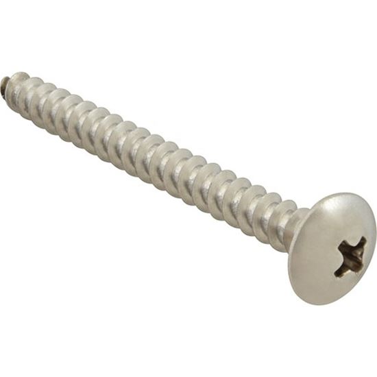 Picture of Screw, Sm/Th/Ss (100)  for AllPoints Part# 6121032