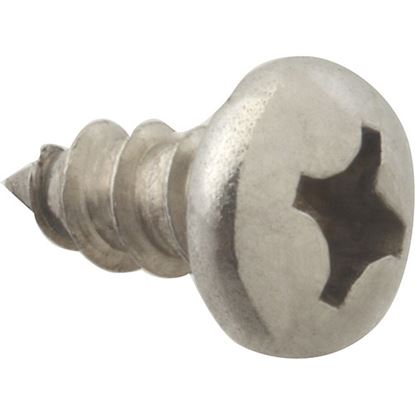 Picture of Screw, Sm/Ph/Ss (100)  for AllPoints Part# 6121208