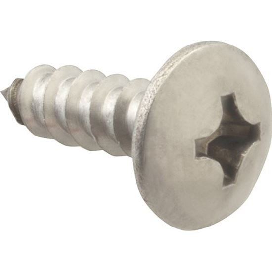 Picture of Screw, Sm/Th/Ss (100)  for AllPoints Part# 6121212