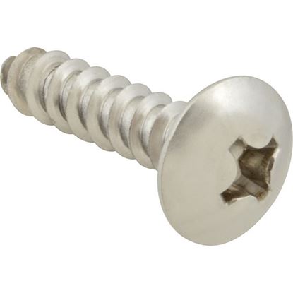 Picture of Screw,Sm/Th/Ss (100)  for AllPoints Part# 6121216