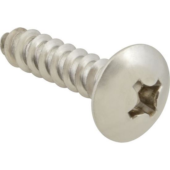 Picture of Screw,Sm/Th/Ss (100)  for AllPoints Part# 6121216