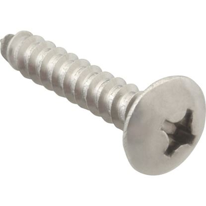 Picture of Screw, Sm/Th/Ss (100)  for AllPoints Part# 6121220