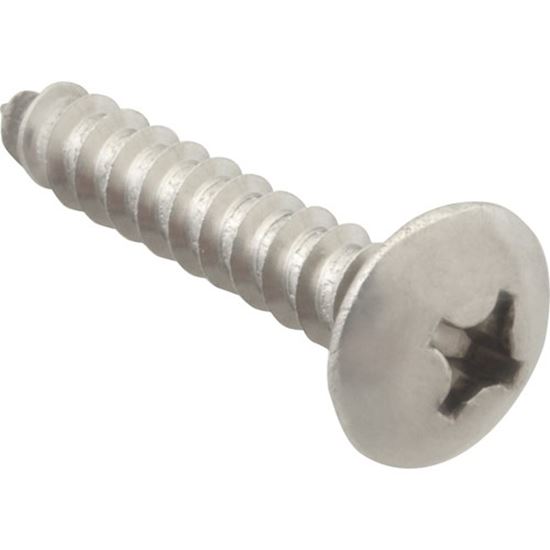 Picture of Screw, Sm/Th/Ss (100)  for AllPoints Part# 6121220