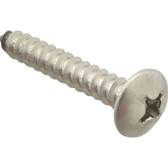 Picture of Screw, Sm/Th/Ss (100)  for AllPoints Part# 6121224