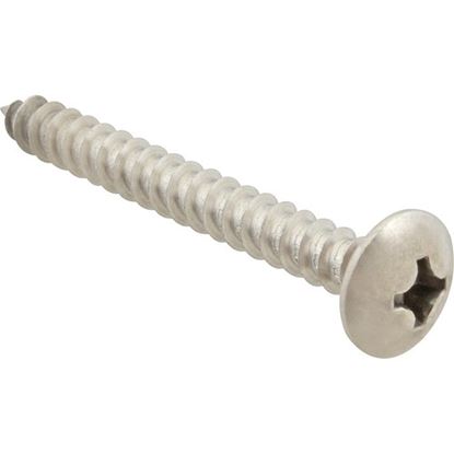 Picture of Screw, Sm/Th/Ss (100)  for AllPoints Part# 6121232