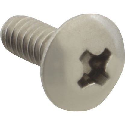 Picture of Screw, Mach/Th/Ss (100)  for AllPoints Part# 6220606