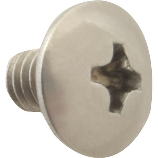 Picture of Screw, Mach/Th/Ss (100)  for AllPoints Part# 6220804