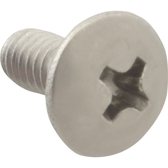 Picture of Screw, Mach/Th/Ss (100)  for AllPoints Part# 6220806