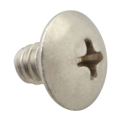 Picture of Screw, Mach/Th/Ss (100)  for AllPoints Part# 6221004