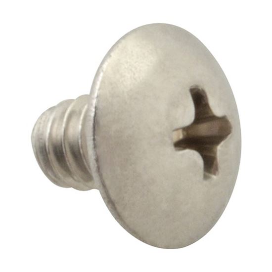 Picture of Screw, Mach/Th/Ss (100)  for AllPoints Part# 6221004