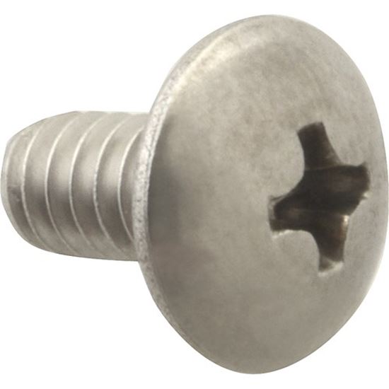 Picture of Screw, Mach/Th/Ss (100)  for AllPoints Part# 6221006