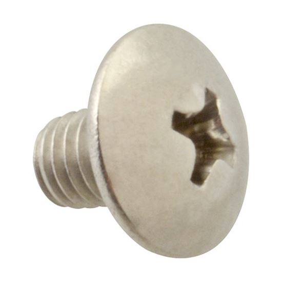 Picture of Screw, Mach/Th/Ss (100)  for AllPoints Part# 6221104