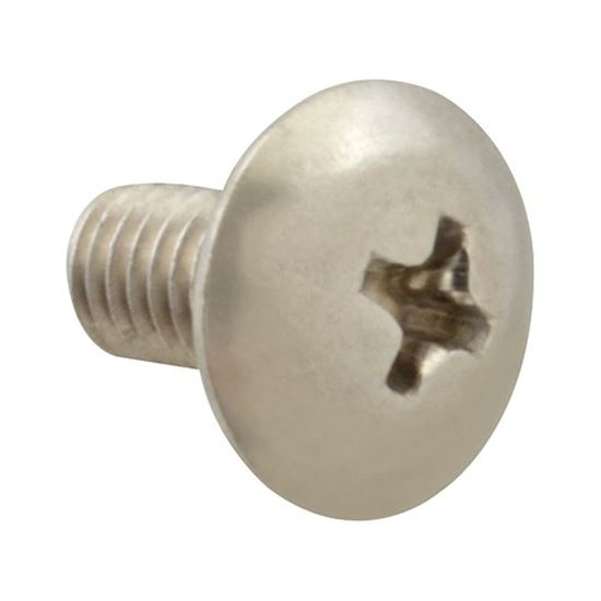 Picture of Screw, Mach/Th/Ss (100)  for AllPoints Part# 6221106