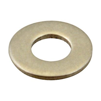 Picture of Washer, Flat/Ss (100)  for AllPoints Part# 7050600