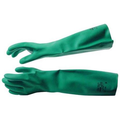 Picture of Glove Nitrile 18" Large  for AllPoints Part# 81545